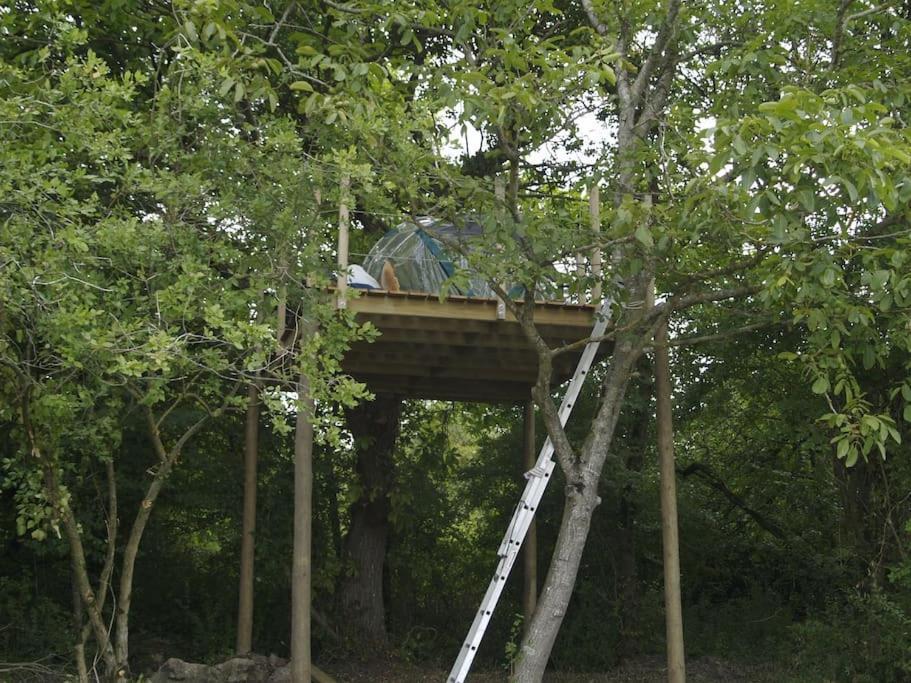 Отель Le Bois Davy Le Thoureil Экстерьер фото
