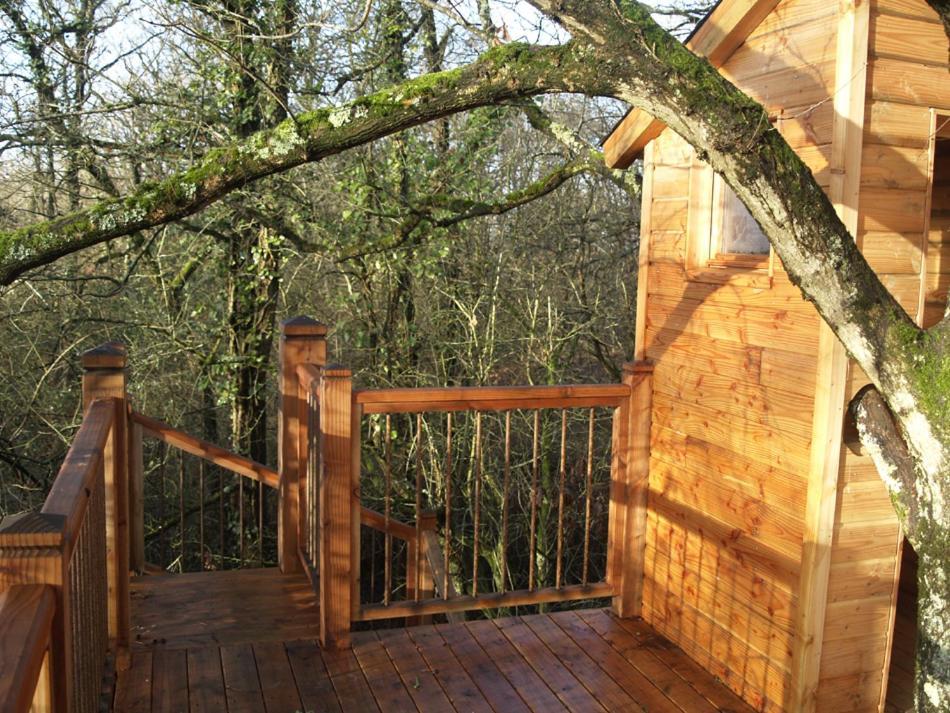 Отель Le Bois Davy Le Thoureil Экстерьер фото